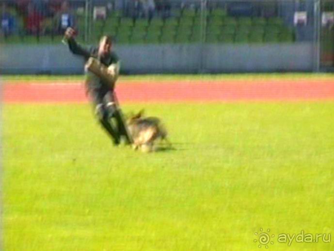 Первый день Зигера в Ульме. Поверка поведения.