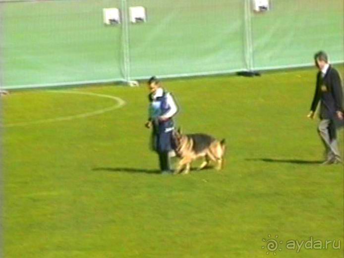 Первый день Зигера в Ульме. Поверка поведения.