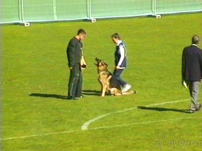 Первый день Зигера в Ульме. Поверка поведения.