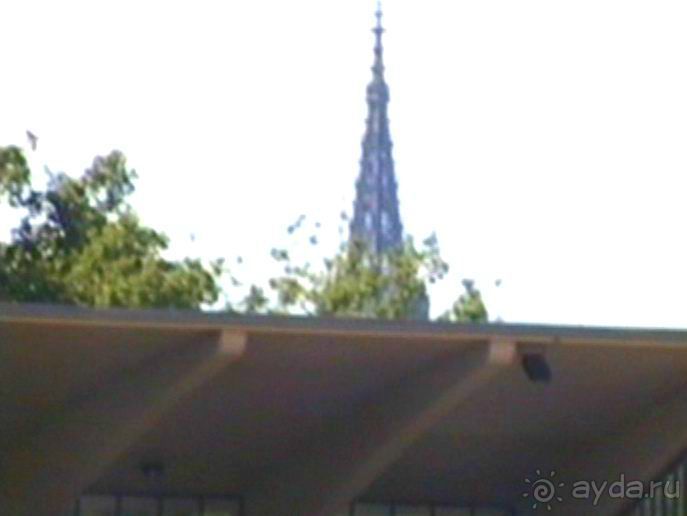 Первый день Зигера в Ульме. Поверка поведения.