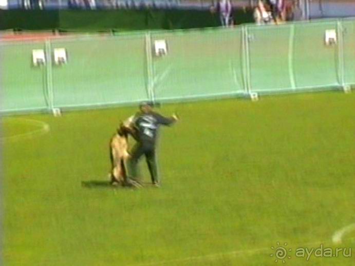 Первый день Зигера в Ульме. Поверка поведения.