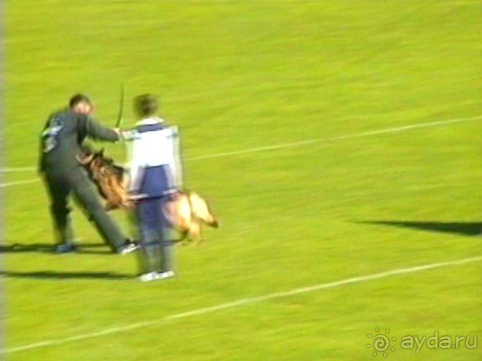 Первый день Зигера в Ульме. Поверка поведения.