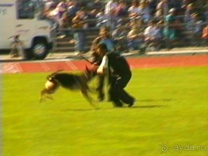 Первый день Зигера в Ульме. Поверка поведения.