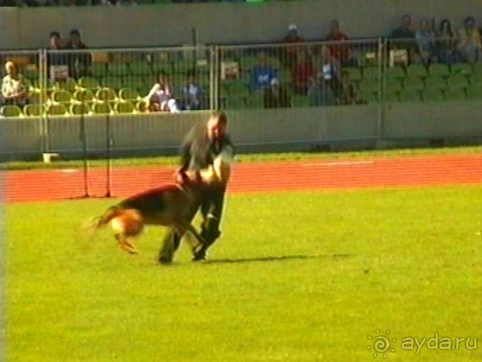Первый день Зигера в Ульме. Поверка поведения.