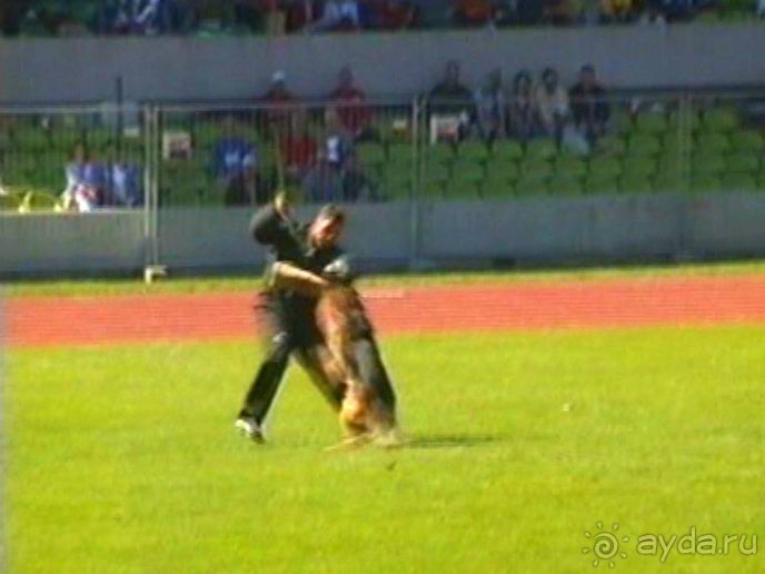 Первый день Зигера в Ульме. Поверка поведения.