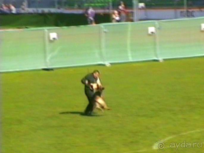 Первый день Зигера в Ульме. Поверка поведения.