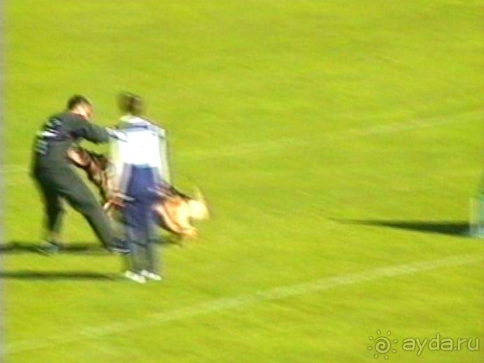 Первый день Зигера в Ульме. Поверка поведения.