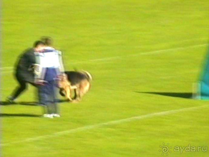 Первый день Зигера в Ульме. Поверка поведения.