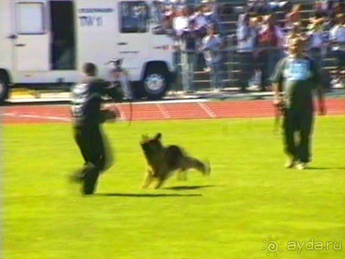 Первый день Зигера в Ульме. Поверка поведения.