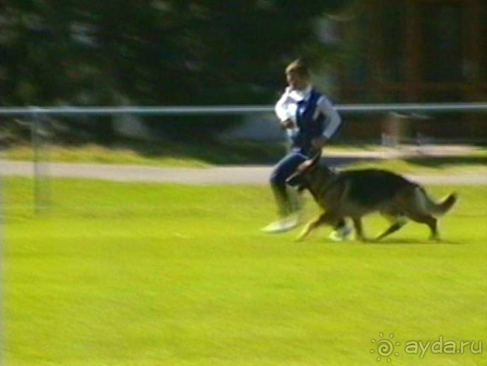 Первый день Зигера в Ульме. Поверка поведения.
