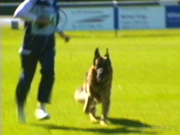 Первый день Зигера в Ульме. Поверка поведения.