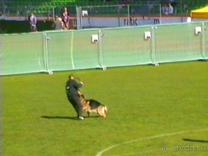 Первый день Зигера в Ульме. Поверка поведения.
