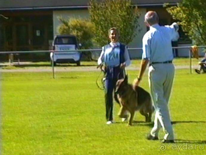 Первый день Зигера в Ульме. Поверка поведения.