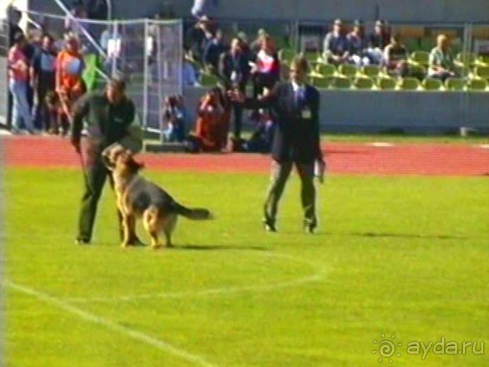 Первый день Зигера в Ульме. Поверка поведения.