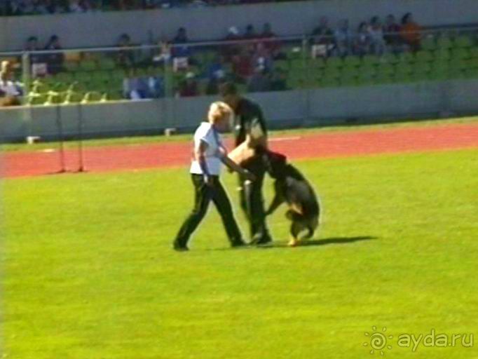 Первый день Зигера в Ульме. Поверка поведения.