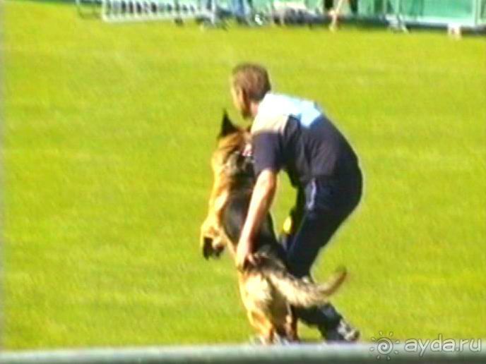 Первый день Зигера в Ульме. Поверка поведения.