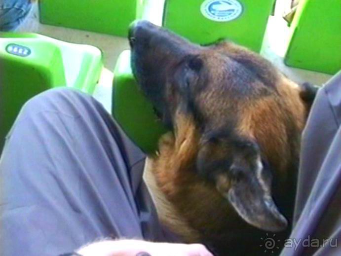 Первый день Зигера в Ульме. Поверка поведения.