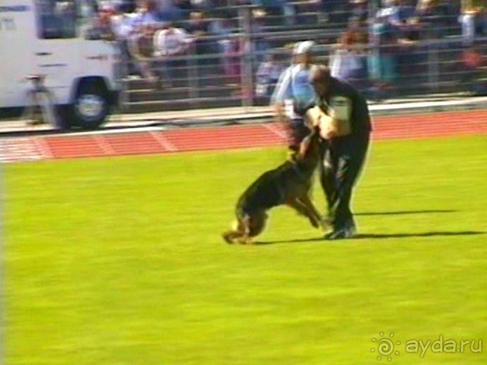 Первый день Зигера в Ульме. Поверка поведения.