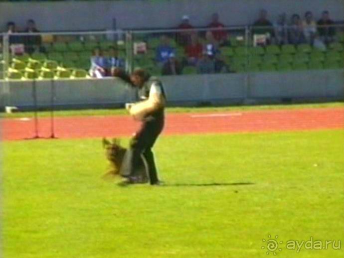 Первый день Зигера в Ульме. Поверка поведения.