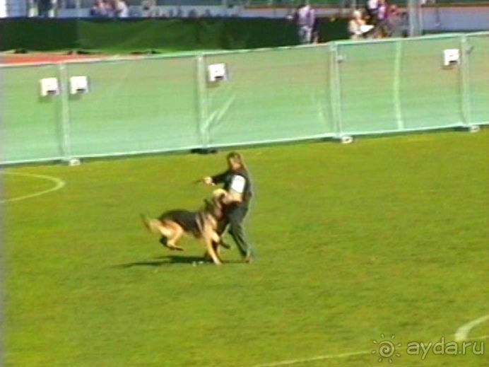 Первый день Зигера в Ульме. Поверка поведения.