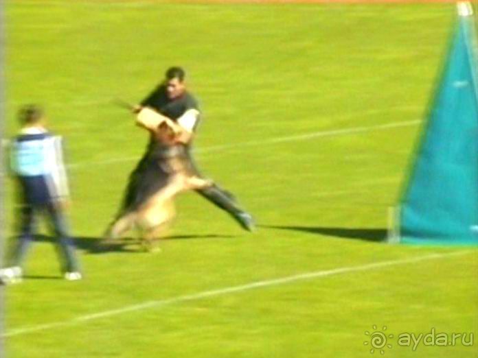 Первый день Зигера в Ульме. Поверка поведения.