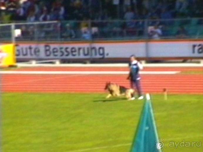 Первый день Зигера в Ульме. Поверка поведения.