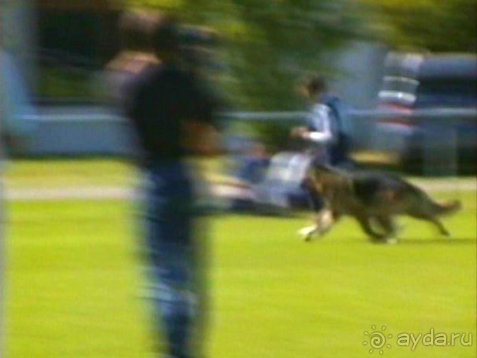 Первый день Зигера в Ульме. Поверка поведения.