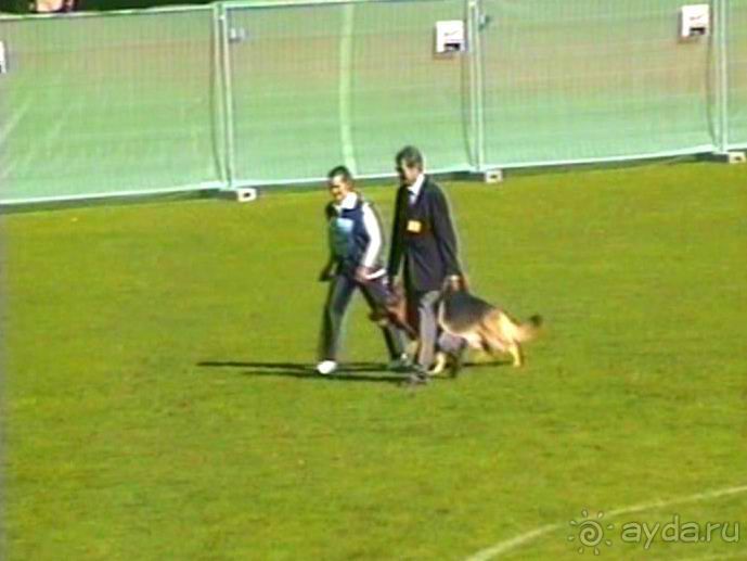 Первый день Зигера в Ульме. Поверка поведения.