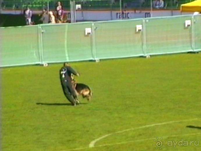 Первый день Зигера в Ульме. Поверка поведения.