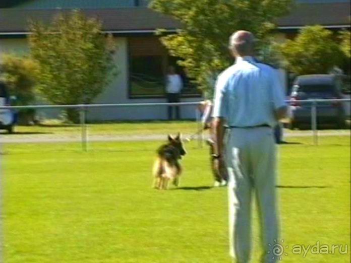 Первый день Зигера в Ульме. Поверка поведения.