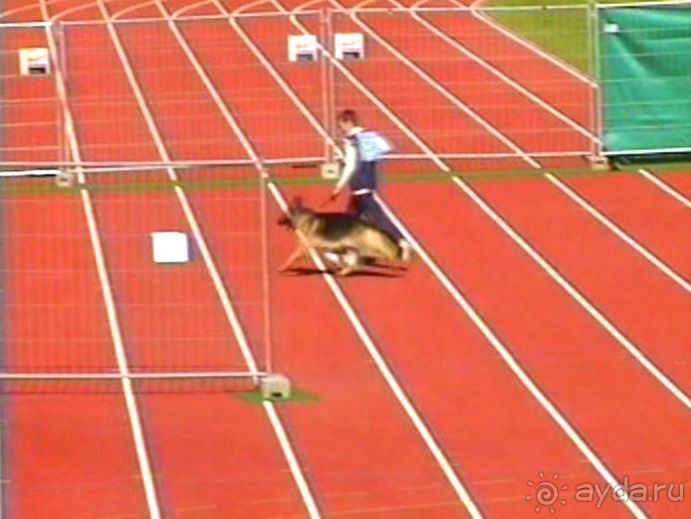 Первый день Зигера в Ульме. Поверка поведения.