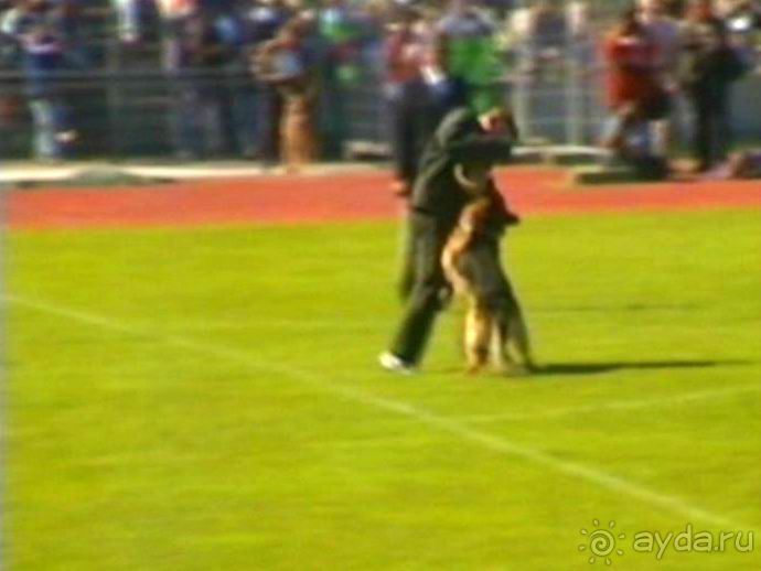 Первый день Зигера в Ульме. Поверка поведения.