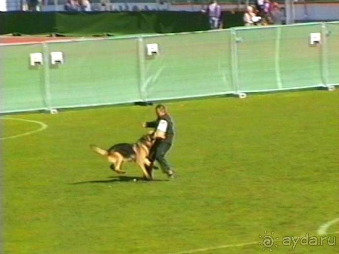 Первый день Зигера в Ульме. Поверка поведения.