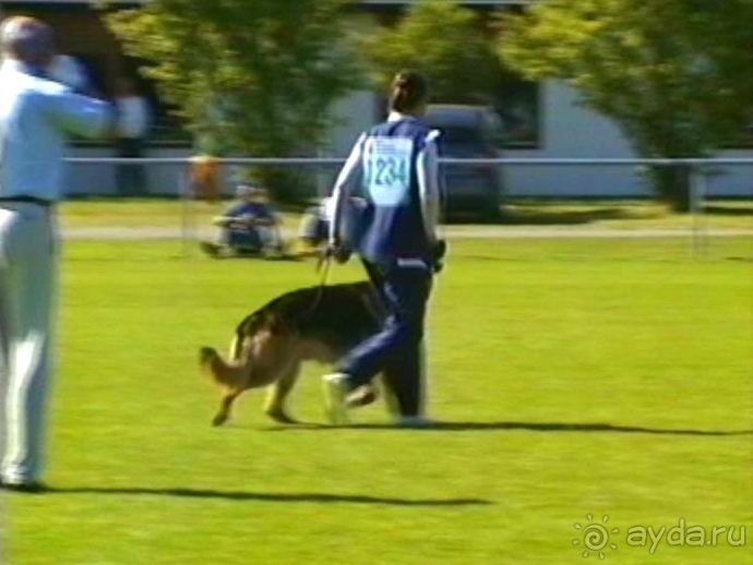 Первый день Зигера в Ульме. Поверка поведения.