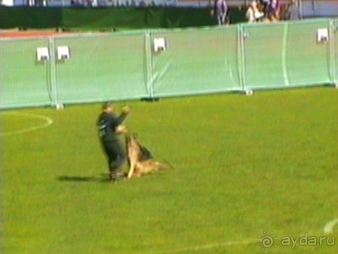 Первый день Зигера в Ульме. Поверка поведения.