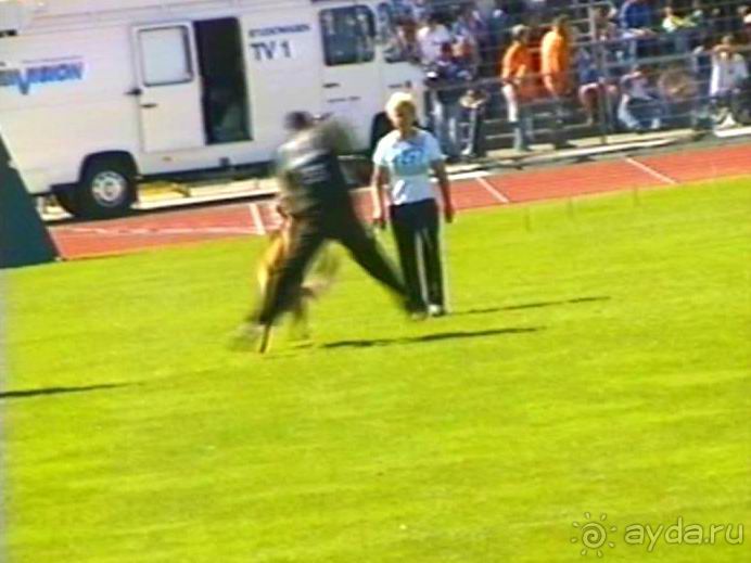 Первый день Зигера в Ульме. Поверка поведения.