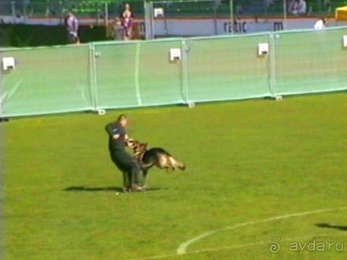 Первый день Зигера в Ульме. Поверка поведения.