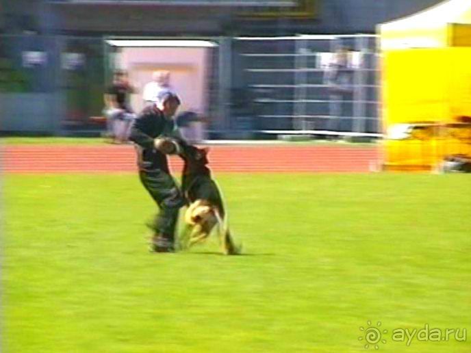 Первый день Зигера в Ульме. Поверка поведения.