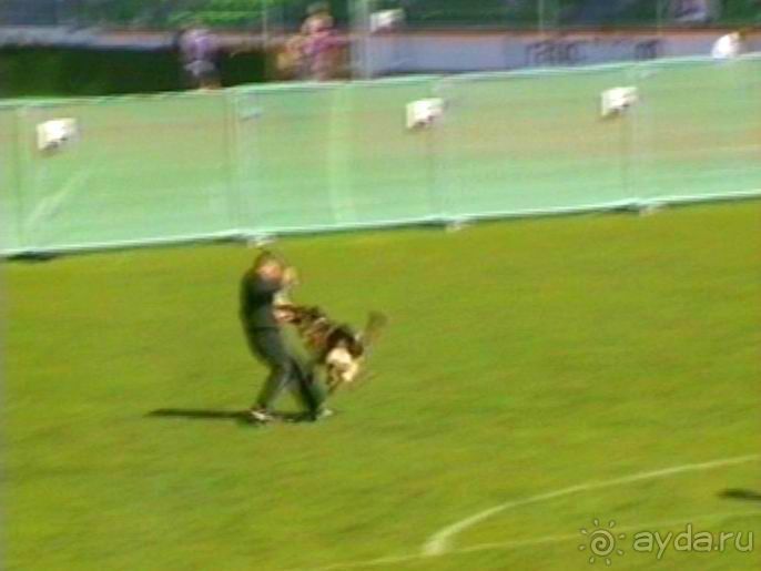 Первый день Зигера в Ульме. Поверка поведения.