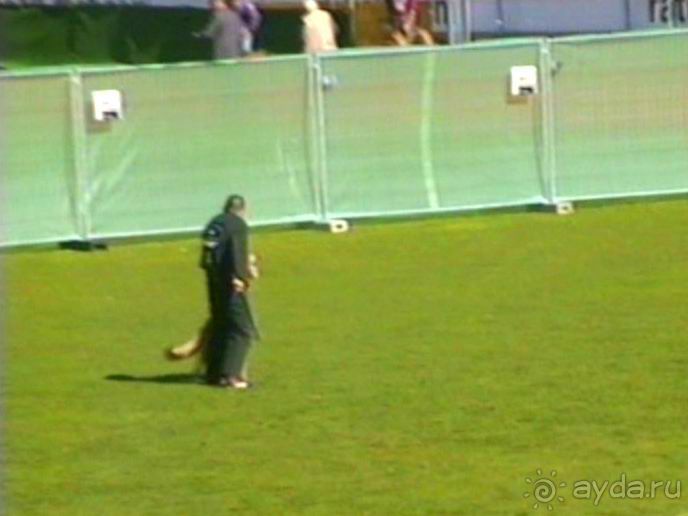 Первый день Зигера в Ульме. Поверка поведения.