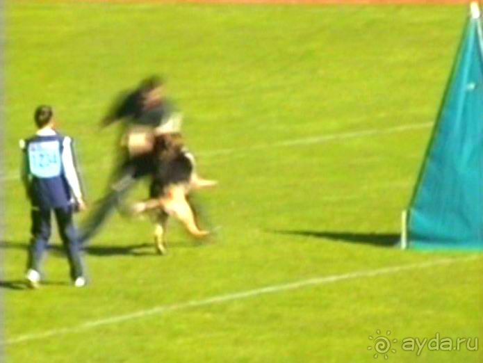 Первый день Зигера в Ульме. Поверка поведения.