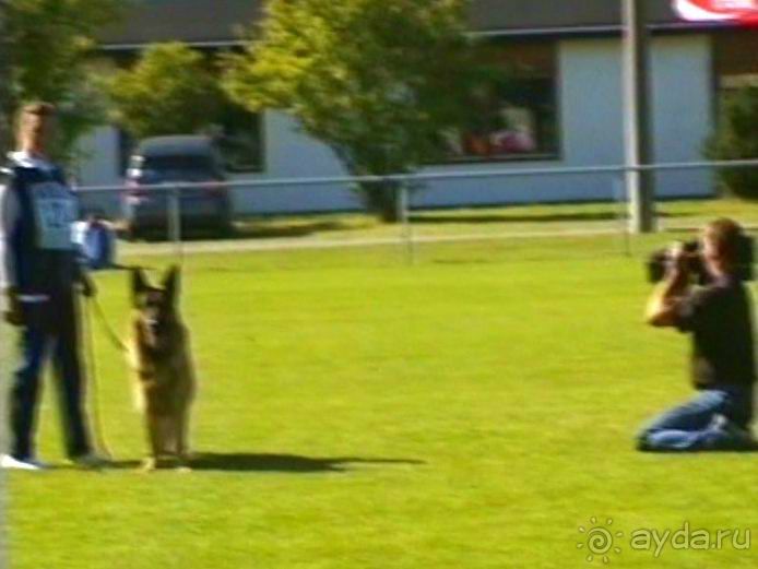 Первый день Зигера в Ульме. Поверка поведения.
