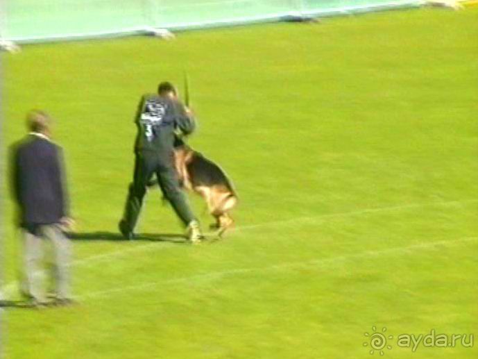 Первый день Зигера в Ульме. Поверка поведения.