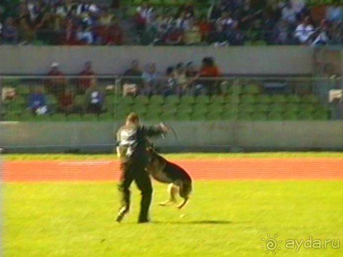 Первый день Зигера в Ульме. Поверка поведения.