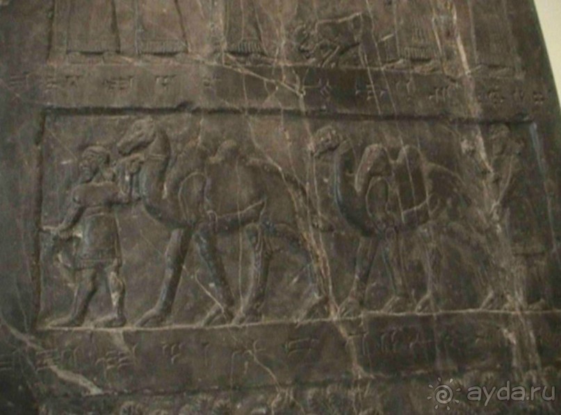 Великобритания: Дувр и прибытие в Лондон