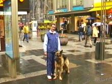 Кёльн, Ахен и стадион Дюссельдорфа