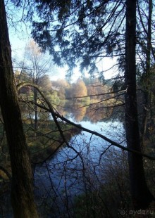 Подмосковье: Марфино Подмосковье: Марфино