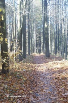 Подмосковье: Марфино Подмосковье: Марфино