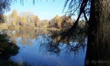 Подмосковье: Марфино Подмосковье: Марфино