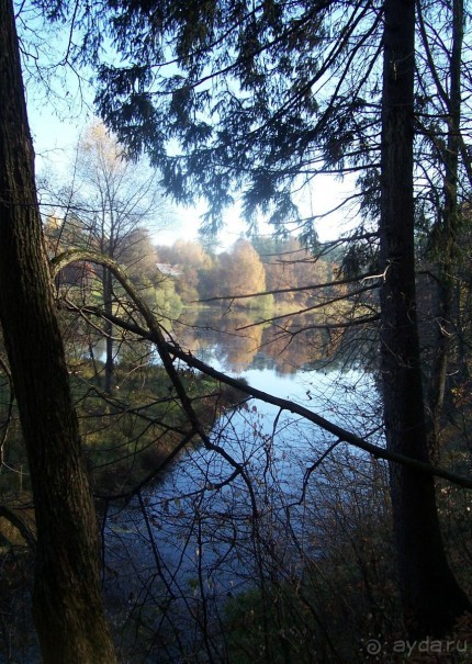 Подмосковье: Марфино